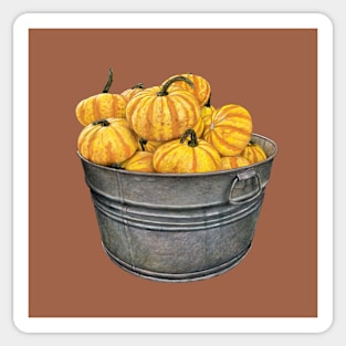 A basin with pumpkins Sticker